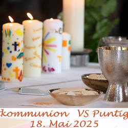 VS Puntigam